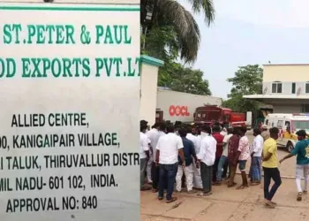 St Peter & Paul Sea Foods Exports