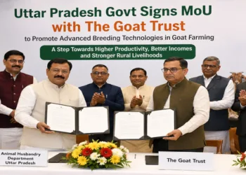 UP Unites Govt, NGOs, Private Sector to Transform Goat Farming