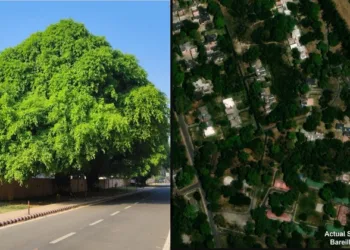 Bareilly Cantonment Emerges as Model for Sustainable Urban Development in India (Image Source X)