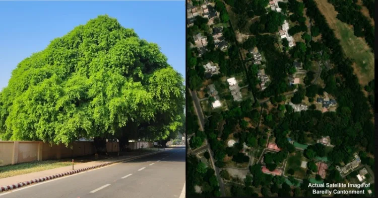 Bareilly Cantonment Emerges as Model for Sustainable Urban Development in India (Image Source X)