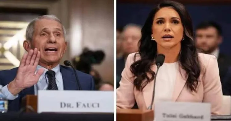 Dr. Fauci and US DNI Tulsi Gabbard