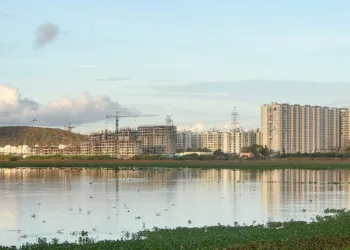 Pallikaranai marshland area near Chennai