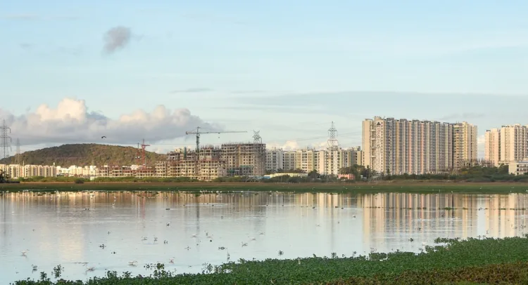 Pallikaranai marshland area near Chennai