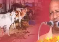 Uttar Pradesh CM Yogi Adityanath warns those of dire consequences if they disrespect gau mata