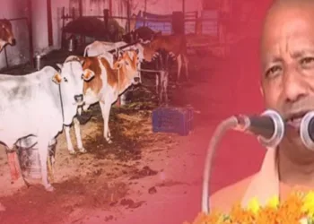 Uttar Pradesh CM Yogi Adityanath warns those of dire consequences if they disrespect gau mata