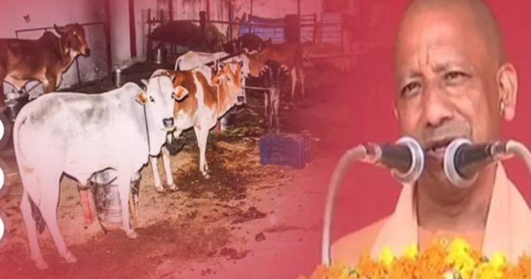 Uttar Pradesh CM Yogi Adityanath warns those of dire consequences if they disrespect gau mata