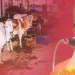Uttar Pradesh CM Yogi Adityanath warns those of dire consequences if they disrespect gau mata