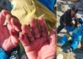 Mount Everest Miracle: Sherpa Survives on Ice and Chocolates for Nearly a Week