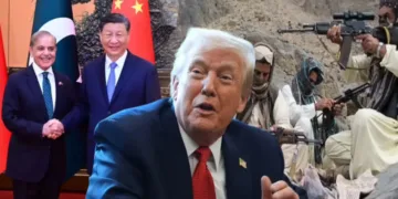 China’s anti-BLA offensive hits snag as UN members demand proof