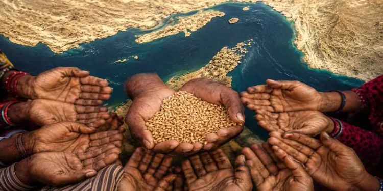 The Strait of Hormuz is more than an energy corridor. It is a critical artery for global fertiliser trade, making food security an unexpected casualty of geopolitical conflict