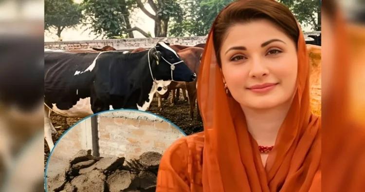 Maryam Nawaz govt faces backlash over New toilet tax