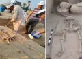 ASI transfers Rakhigarhi skeletal remains to Anthropological Survey of India for detailed examination