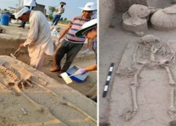 ASI transfers Rakhigarhi skeletal remains to Anthropological Survey of India for detailed examination