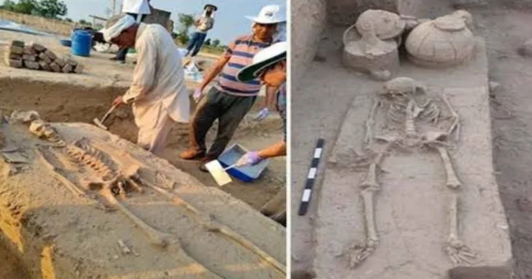 ASI transfers Rakhigarhi skeletal remains to Anthropological Survey of India for detailed examination