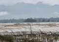 Heavy rains trigger severe floods in Assam
