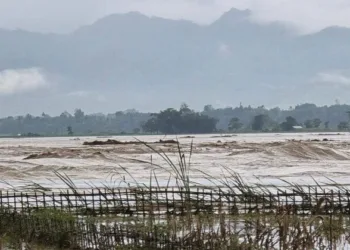 Heavy rains trigger severe floods in Assam