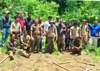 23 forest officials of Assam return safe after being lost for two days in dense forests