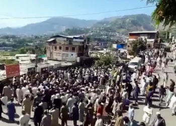 People gather in large numbers during an anti-Pakistan protest, in Pakistan-occupied Jammu and Kashmir (ANI Video Grab)