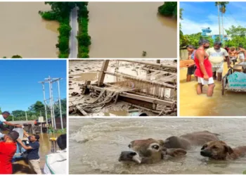 Assam marred by severe floods