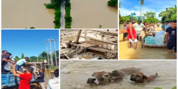 Assam marred by severe floods