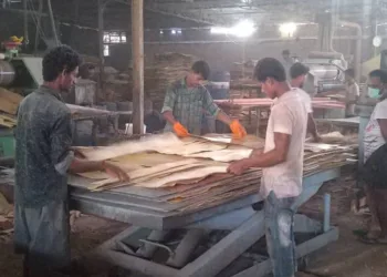 Plywood workshop (Representative image)