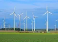 Record wind energy generation powers India's clean energy transition, strengthening sustainable growth and energy security