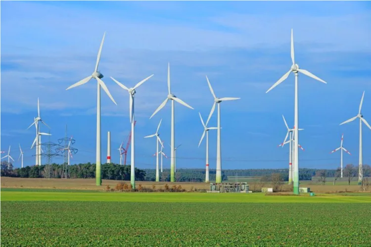 Record wind energy generation powers India's clean energy transition, strengthening sustainable growth and energy security