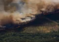 Wildfire engulfing Spain rigorously