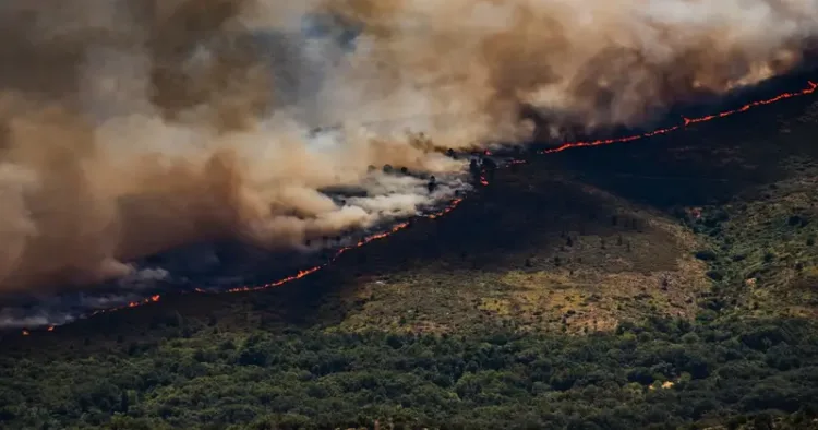 Wildfire engulfing Spain rigorously