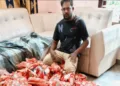 The seized drugs