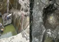Ancient Shivling found in Trimbakeshwar Mandir's Amrit Kund