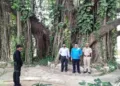 Heritage Banyan tree at ITC campus, Munger, Bihar