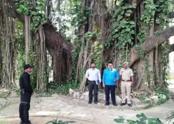Heritage Banyan tree at ITC campus, Munger, Bihar