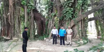 Heritage Banyan tree at ITC campus, Munger, Bihar