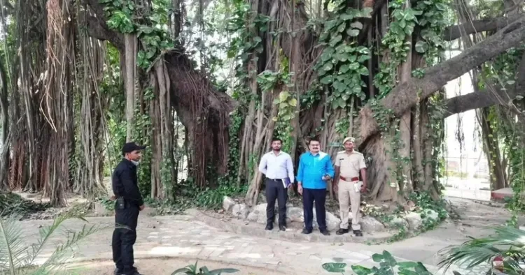 Heritage Banyan tree at ITC campus, Munger, Bihar