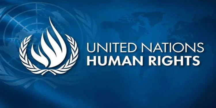 A closer look at the actors, funding networks and influence shaping the UN's global human rights narrative
