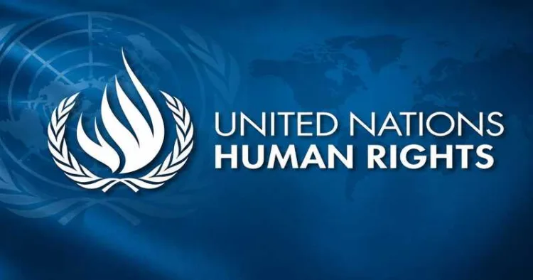 A closer look at the actors, funding networks and influence shaping the UN's global human rights narrative