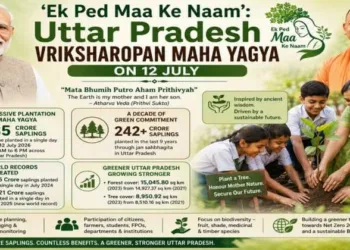 Uttar Pradesh will plant 35 crore saplings in a day on July 12 under 'Ek Ped Maa Ke Naam' to advance India's green mission