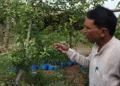 Gaya's Gopal Sharan has turned a drought-prone Bihar village into a medicinal plant conservation centre with over 400 herbal species