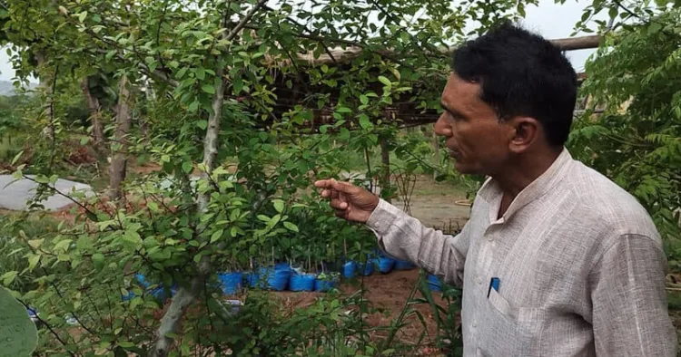Gaya's Gopal Sharan has turned a drought-prone Bihar village into a medicinal plant conservation centre with over 400 herbal species