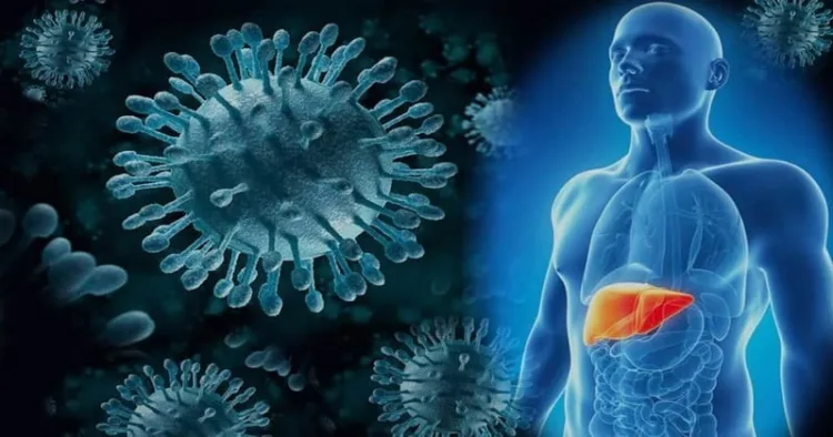 India is accelerating its fight against viral hepatitis through free screening, treatment and vaccination under the NVHCP