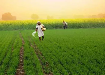 Bharat’s natural farming mission is reviving traditional agriculture, restoring soil health, cutting costs and promoting sustainable farming