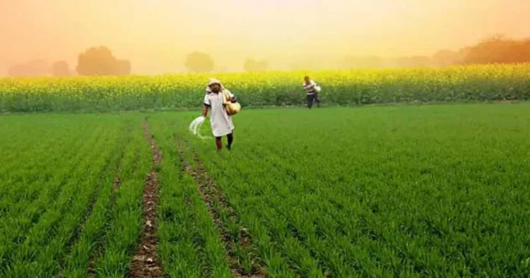 Bharat’s natural farming mission is reviving traditional agriculture, restoring soil health, cutting costs and promoting sustainable farming