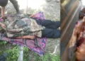 Kuki Militants kill Naga Farmer in Manipur