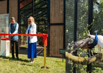 India presents peacocks to UN Geneva
