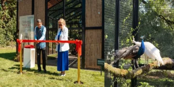 India presents peacocks to UN Geneva