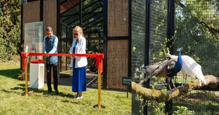 India presents peacocks to UN Geneva