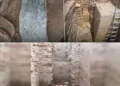 Archelogical findings unearthed at Malayadipatti village near Karivalamvanthanallur (Image Credit - Chennai Live Digital X handle