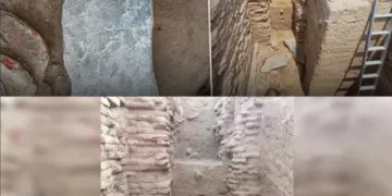 Archelogical findings unearthed at Malayadipatti village near Karivalamvanthanallur (Image Credit - Chennai Live Digital X handle