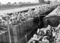 August 14 is observed as Partition Horrors Remembrance Day